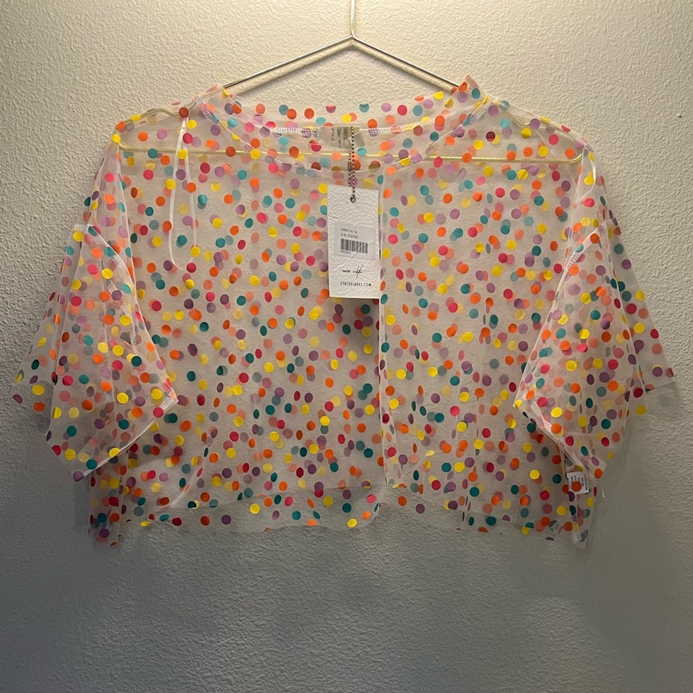 Zara Sheer Top with Multicolored Dots